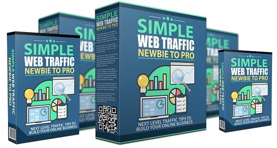 Simple Web Traffic Newbie to Pro PLR Review & Big Bonus